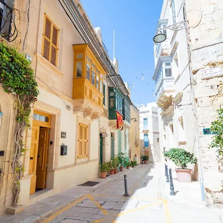 13, Mustard * Vittoriosa