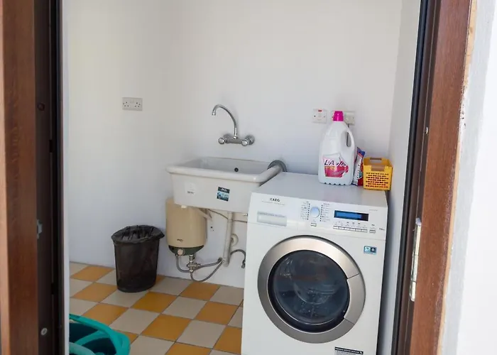 13, Mustard ビルグ